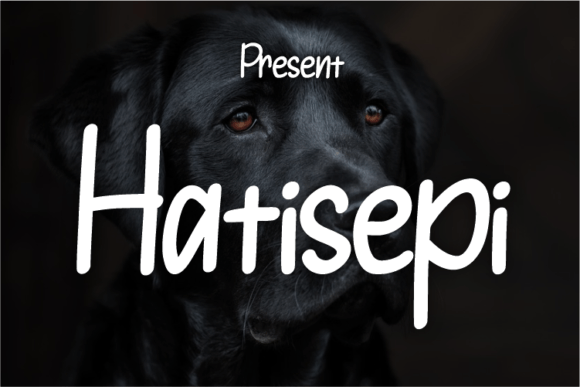 Download Hatisepi - Premium Resources